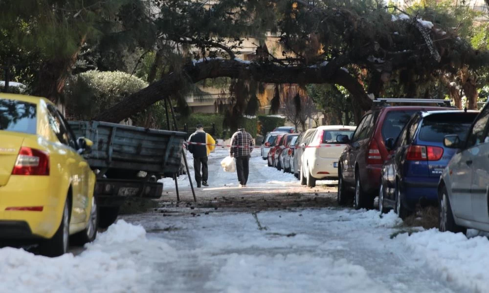 «Ελπίδα»: Συγκλονίζουν μαρτυρίες - «Λιώνω χιόνι για να φτιάξω γάλα»